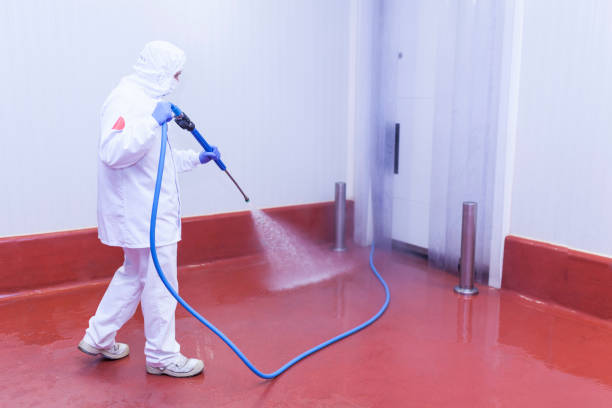 Best Oil Spill Cleanup  in Bithlo, FL